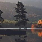 Fly Loch Fishing