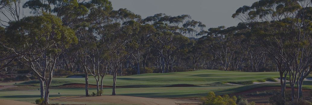 Ladies Golf Ladies Day