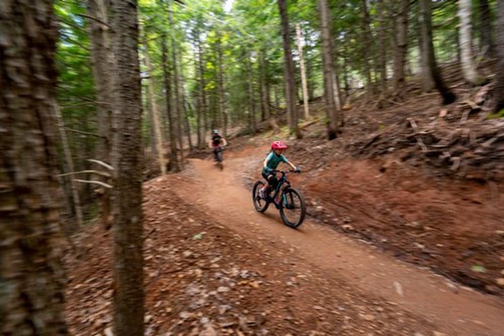 Wentworth Mountain Bike Park Trails