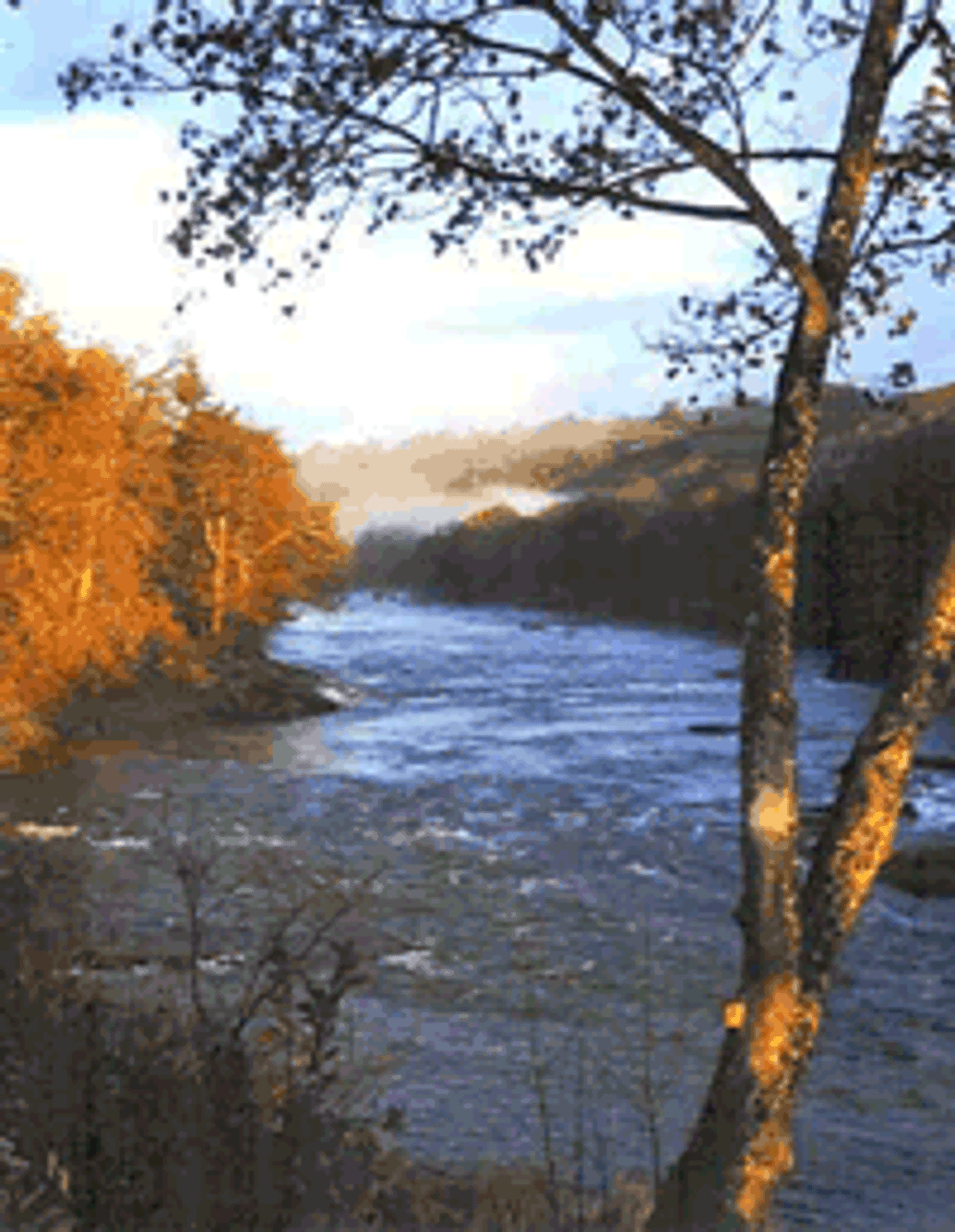 FlyFishingWales with Kim Tribe