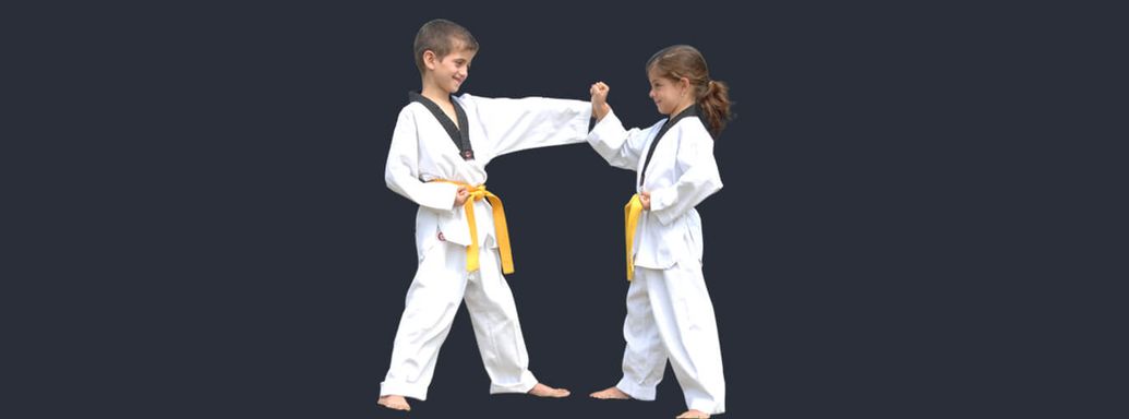 Pinnacle Martial Arts