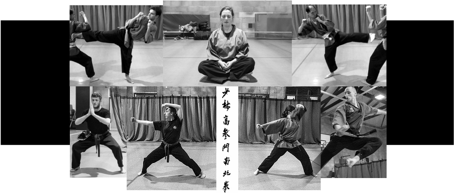 Learn Kung Fu with Nam Pai Chuan