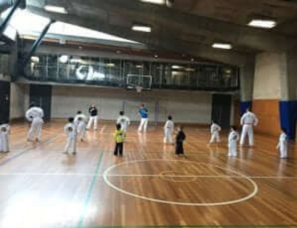 Kyokushin Karate