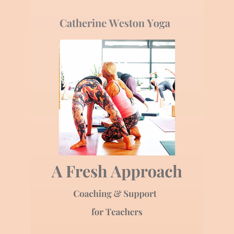 Verbal & Manual Yoga Assists & Adjusts Workshop