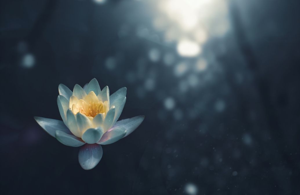 Alchemy Yoga Pembrokeshire Body, Mind & Beyond