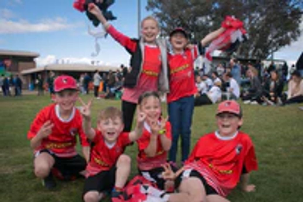 MiniRoos