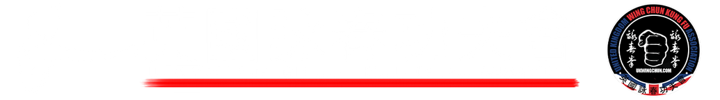Wing Chun Chi Sau with GM Ip Chun Chi Sau MasterClass