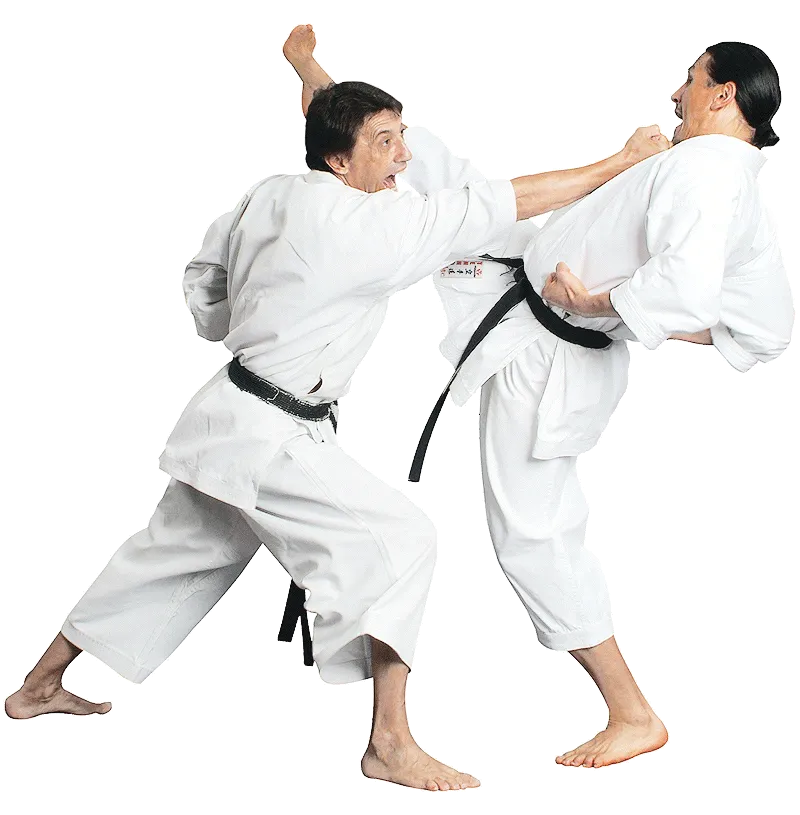 Adult Martial Arts Classes