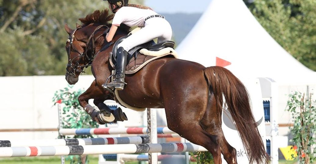 Seriál RS Team TROPHY 2024 - EquiStyle Cup
