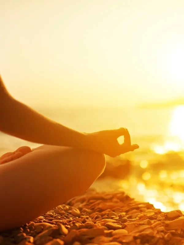 Gazing Hare Yoga
