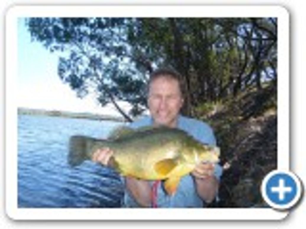 The South Australian Fresh Water Anglers Association (SAFWAA)