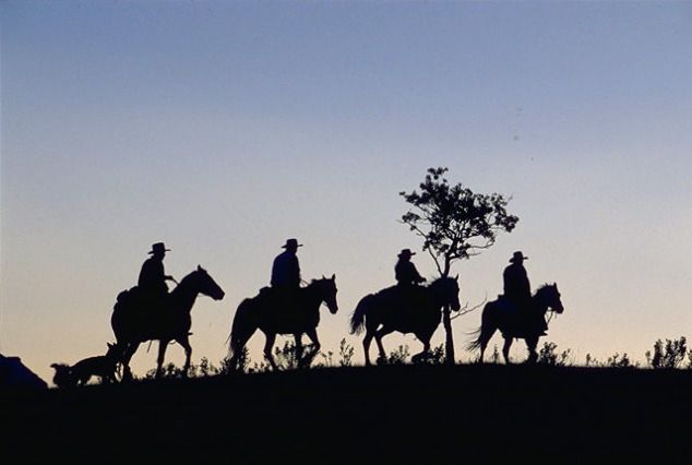 Outpost Escape Horseback Vacation Packages