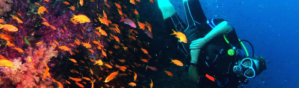 GO PRO New Zealand Diploma in Professional Scuba Instruction