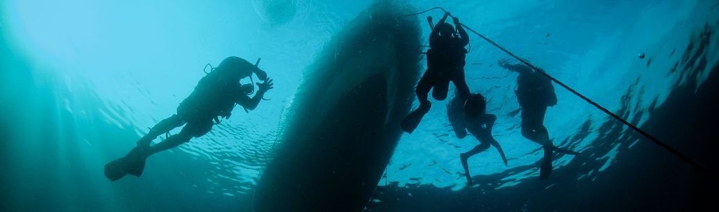 GO PRO New Zealand Diploma in Professional Scuba Instruction