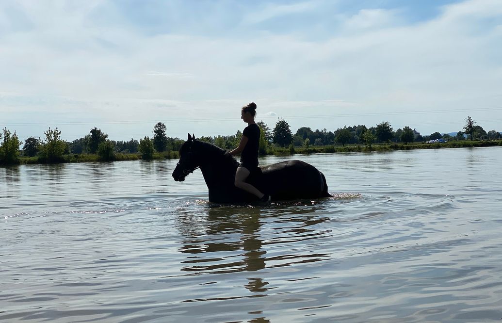 Víkendový seminár-workshop Beyond Horse Massage