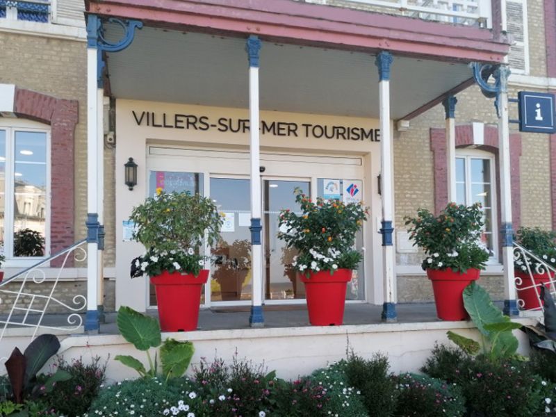 Courses hippiques Deauville-Clairefontaine - Plat