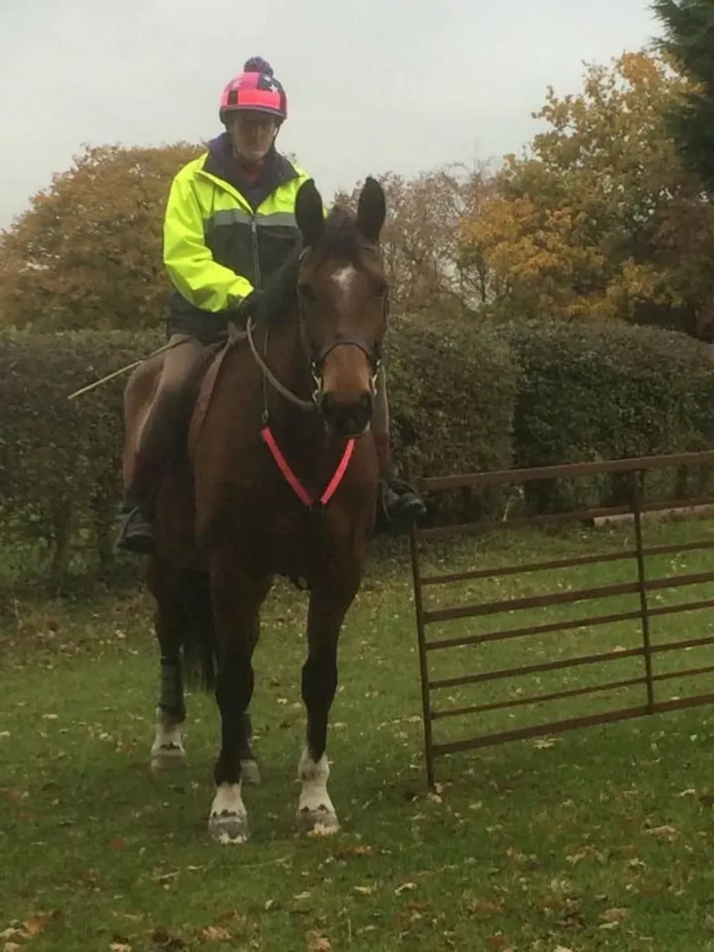 Horse Riding