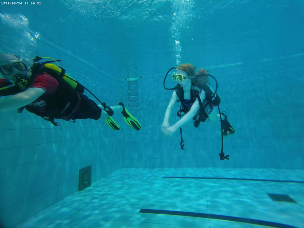 Learn to Dive