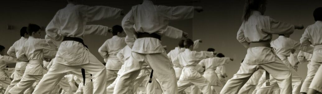 11th GKR Karate International World Cup