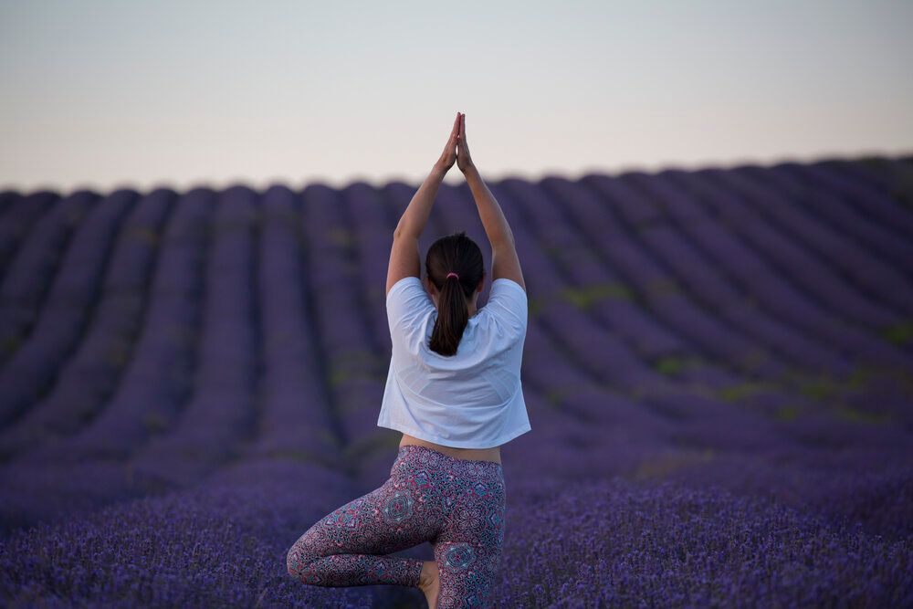 Outdoor Vinyasa Yoga Flow at Hitchin Lavender Fields