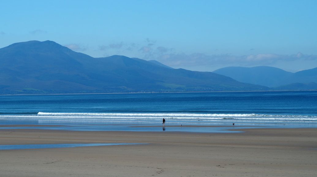 Summer Surf Camps
