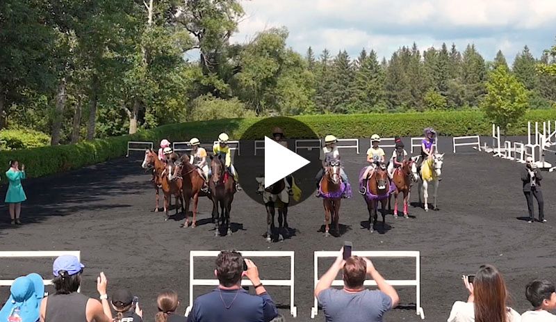 Summer Horse Riding Camp 2024