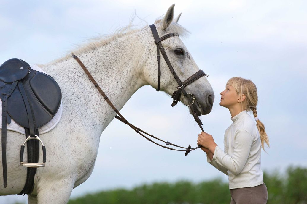 Hazelbank Equestrian