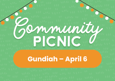 Community Picnic - Tiaro