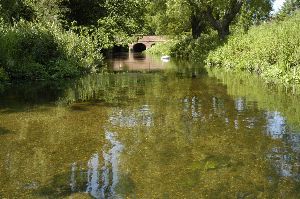 Canterbury & District Angling Association