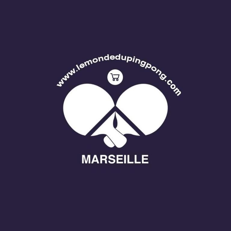 Stage Sportif de Tennis de Table
