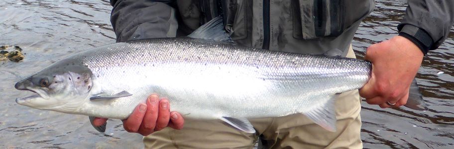 TroutQuest™ Guided Fly Fishing Experiences