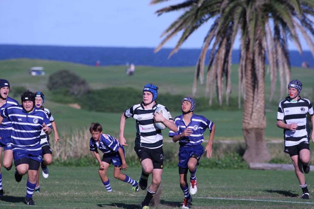Juniors Collaroy Cougars Junior Rugby