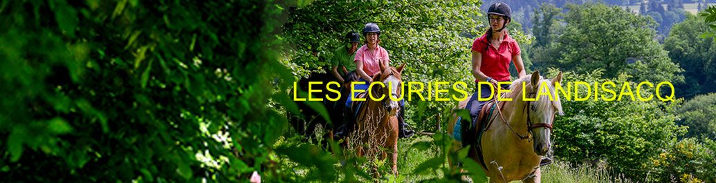 Concours de saut d'obstacles amateur