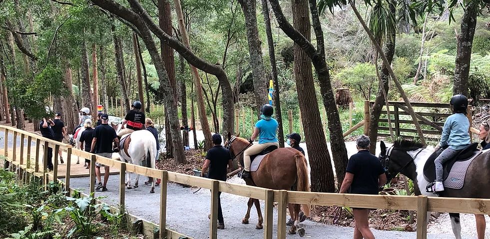 North Shore RDA Therapeutic Horse Riding