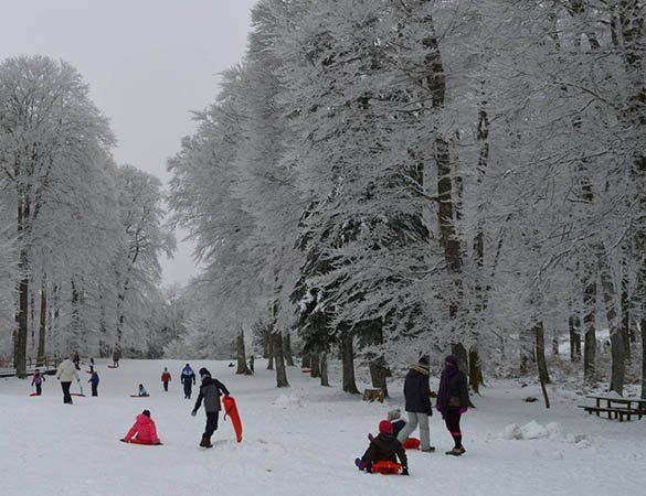 Ouverture du parc de loisirs