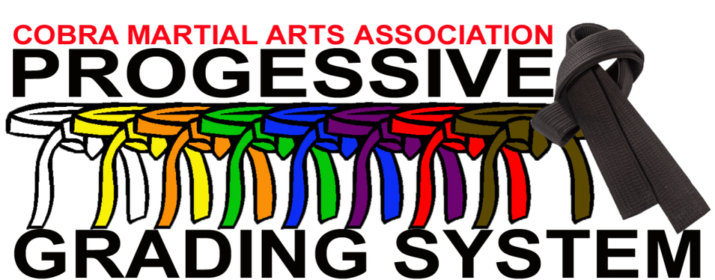 General Martial Arts Lessons