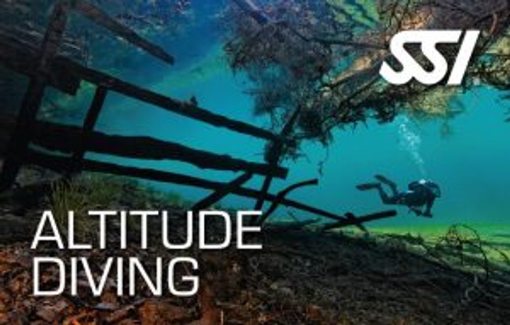 RED SEA DIVING SAFARI