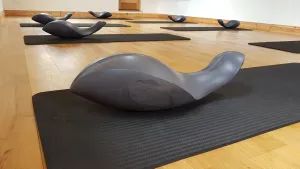 Private Pilates Lesson