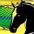Cedar Lake Equestrian Centre Horse riding