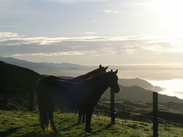 Overnight Horse Treks