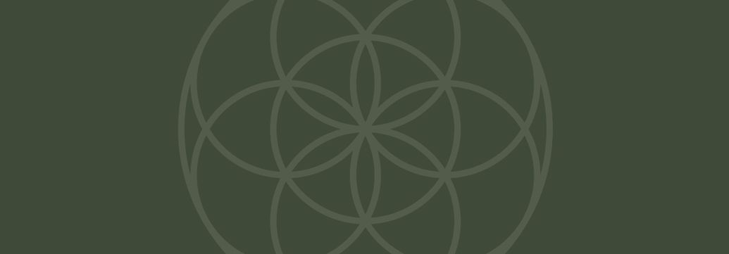 Corporate Coaching Mindfulness Meditation Coaching Programs