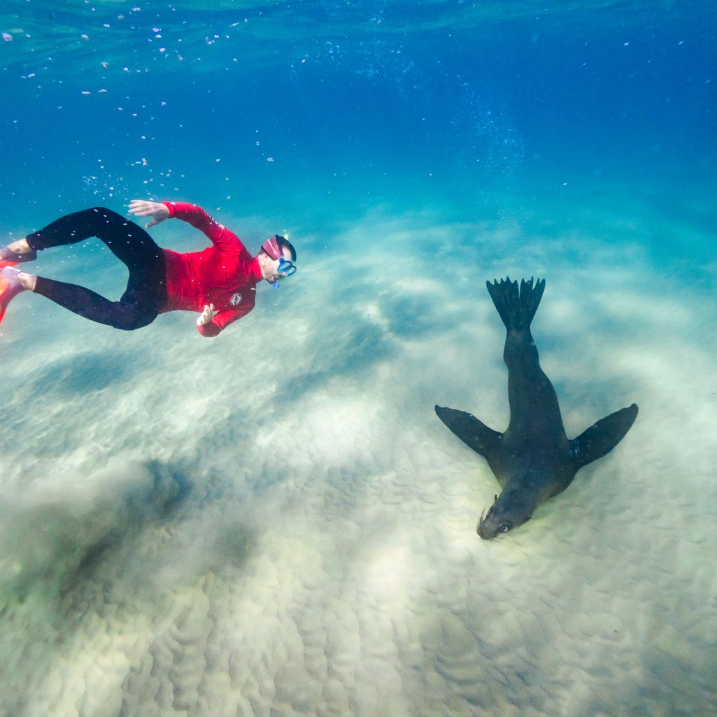 Introduction to Free Diving