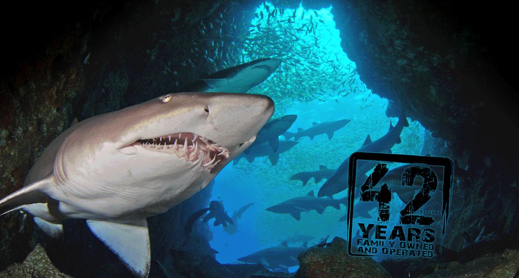 South West Rocks Dive Centre