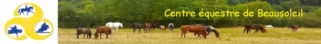 Concours de Dressage à Saint Maixent L'Ecole