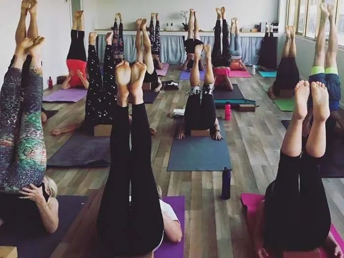 Intro to Flow beginners yoga