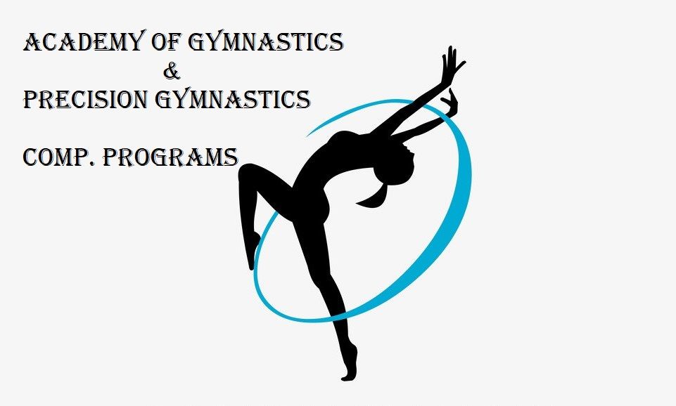 Upside Down Academy Full Day Camp