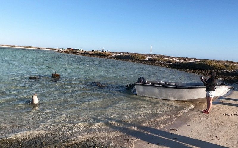Abrolhos Islands 4-Day Dive Liveaboard