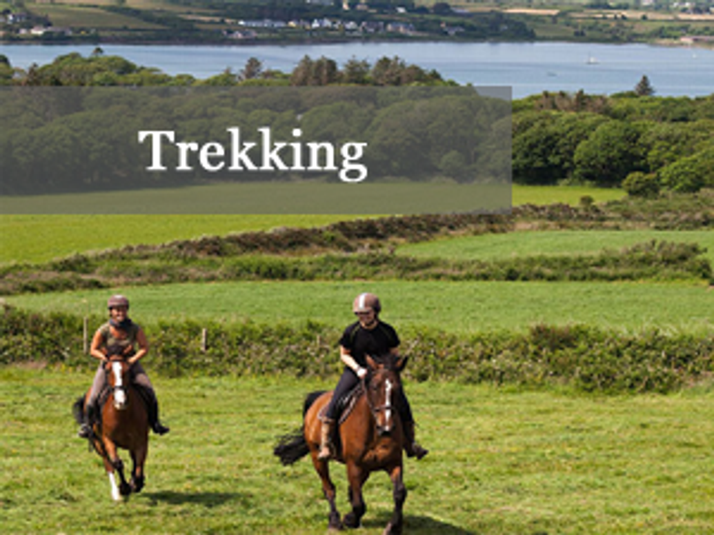 Burnham Children and Teen Pony Camps