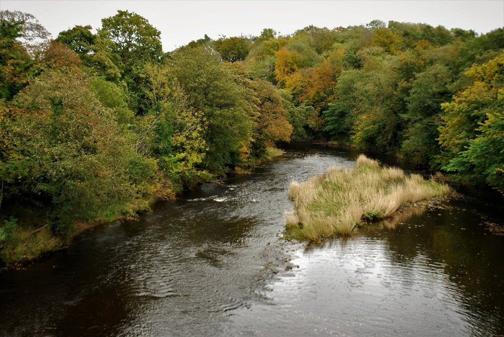 Whitewell Fishing Association