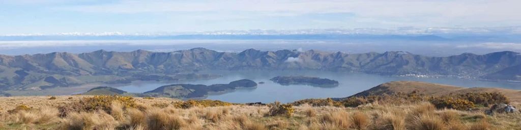 Christchurch Marathon Clinic